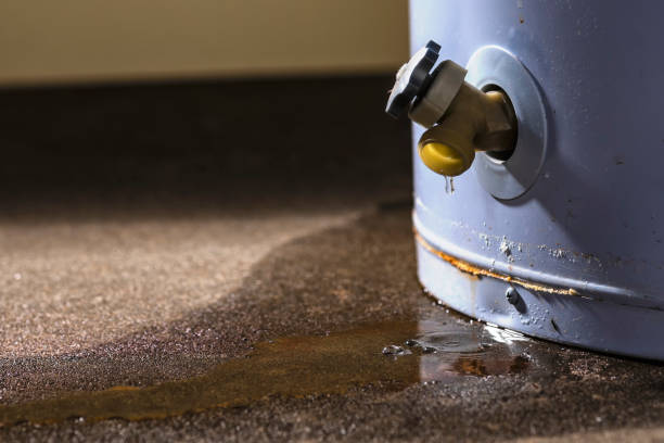 Best Carpet water damage restoration  in East Bernard, TX